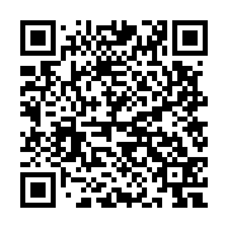 QR code for plate YNG 533