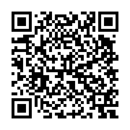 QR code for YNJ 411