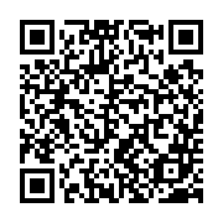 QR code for plate YNS 742