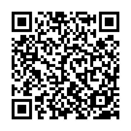 QR code for YNZ 505