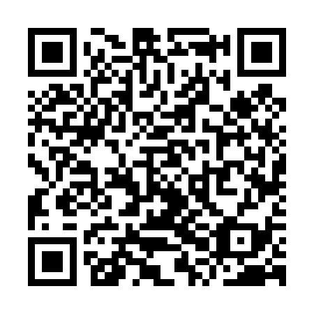 QR code for plate YPF 439