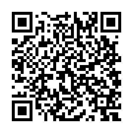 QR code for YPV100