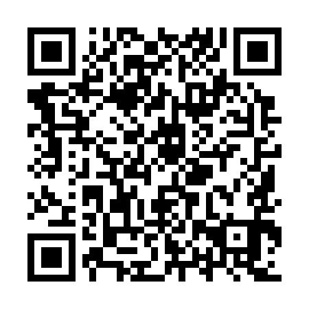 QR code for YPY 391