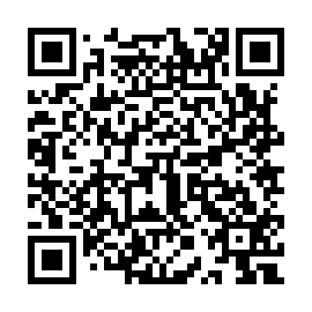 QR code for plate YPZ 913