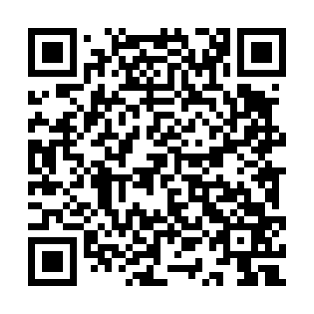 QR code for YQL 463