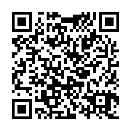 QR code for plate YQN 125