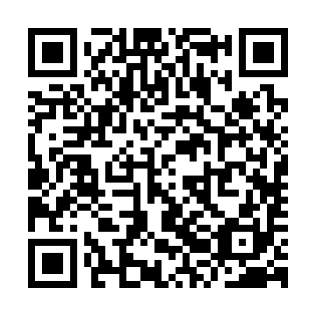 QR code for plate YRB 390