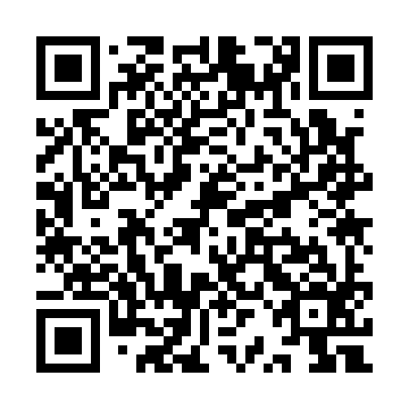 QR code for plate YRK 196