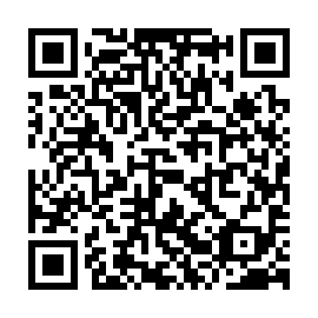 QR code for plate YRU 399