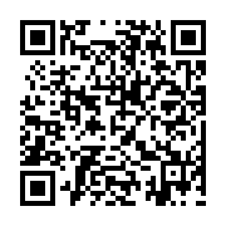 QR code for YSV 371