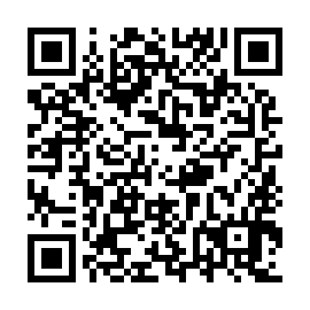 QR code for YVN 994