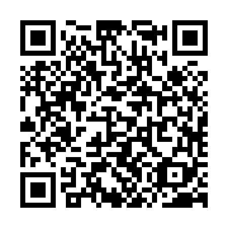 QR code for plate YWB 869