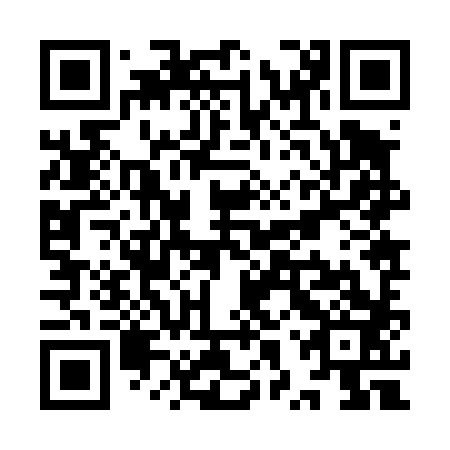 QR code for plate YXZ 483