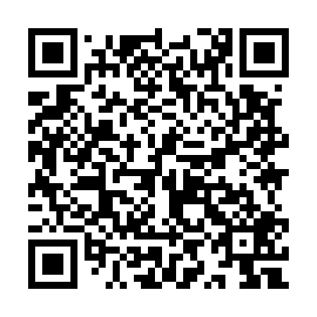QR code for YYI 509