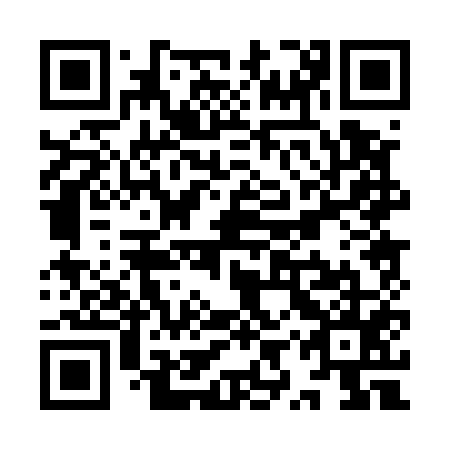 QR code for plate YYP 555