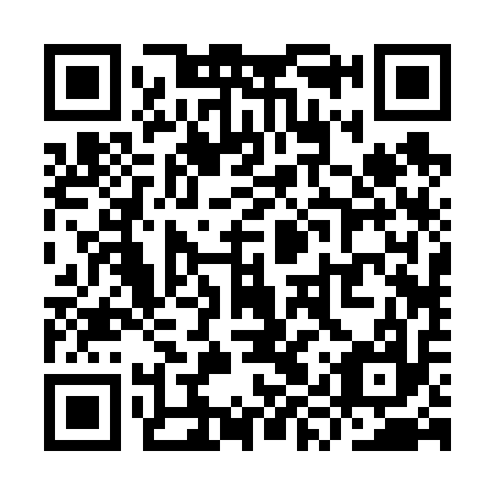 QR code for plate YYR 617