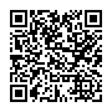 QR code for YYZ 393