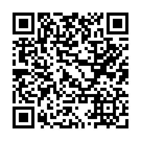 QR code for YYZ729