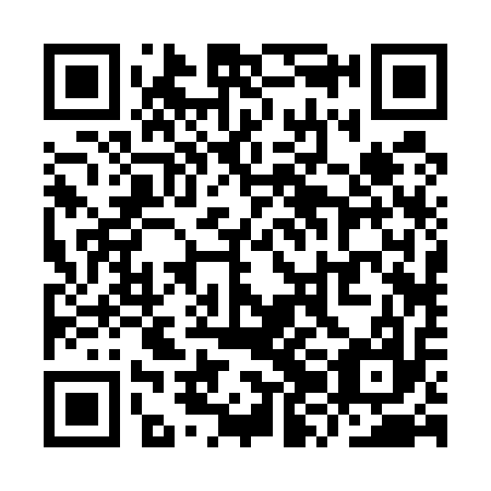 QR code for plate YZB 517