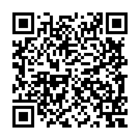 QR code for YZL895