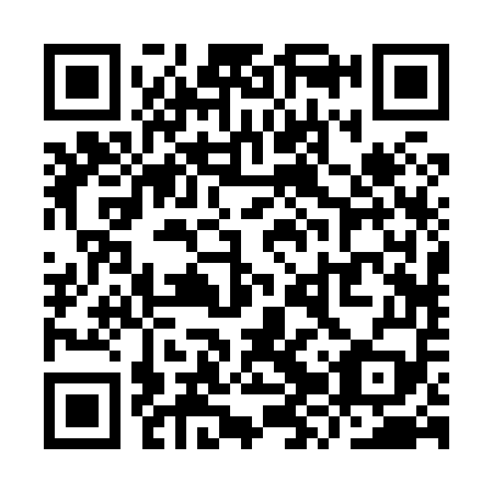QR code for plate YZR 859