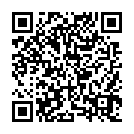 QR code for YZZ 742