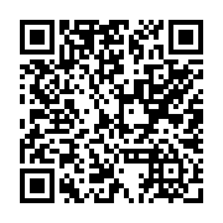 QR code for ZAG 295