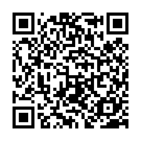 QR code for ZAU425