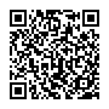 QR code for plate ZAY 381