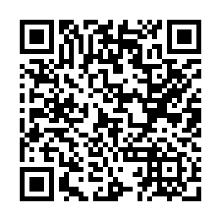 QR code for ZBI 919