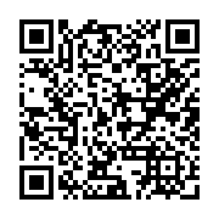 QR code for ZCA 919