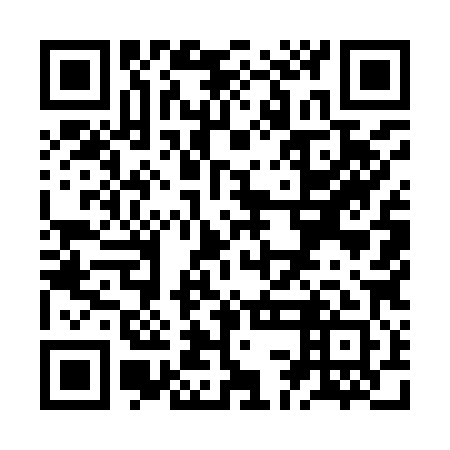 QR code for ZCM981
