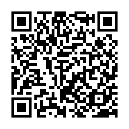 QR code for plate ZCN 101