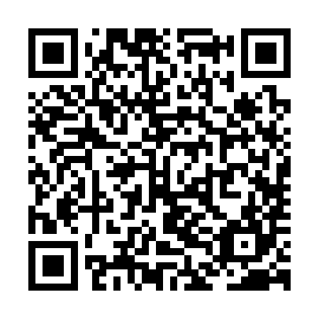 QR code for ZDB 384