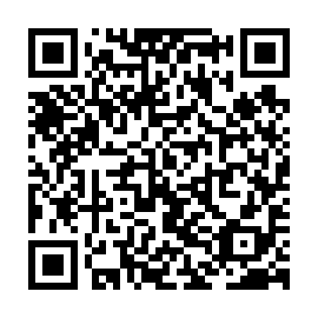 QR code for ZDG698