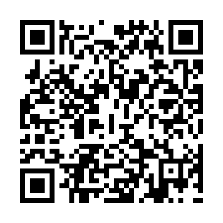 QR code for plate ZDI 384