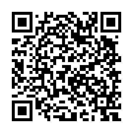 QR code for plate ZDJ 495