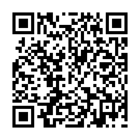 QR code for ZDM 381