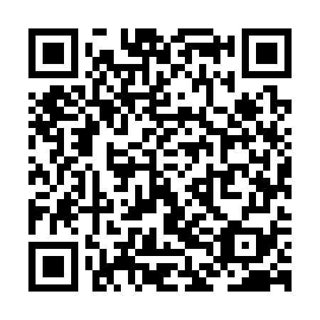 QR code for plate ZDM 379
