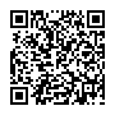 QR code for ZDM938