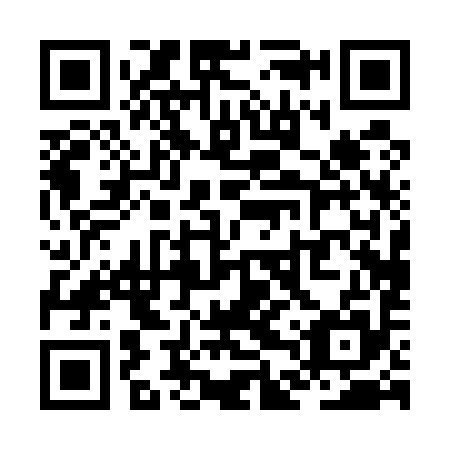 QR code for ZDP595