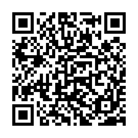 QR code for ZDS 597