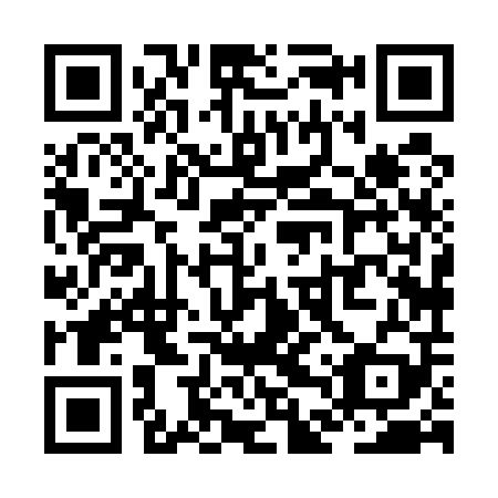 QR code for plate ZDX 509