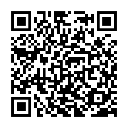 QR code for ZDY 968