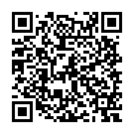 QR code for ZDZ594