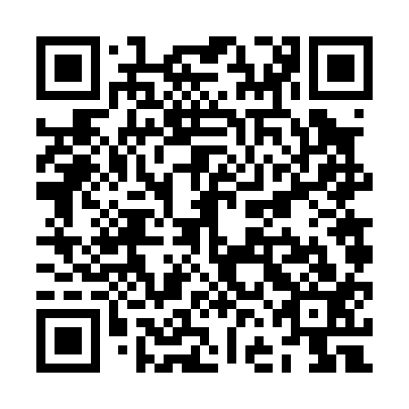 QR code for plate ZFF 013