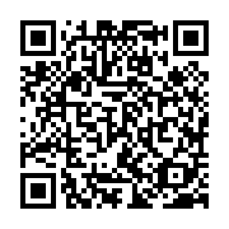 QR code for ZFZ 009