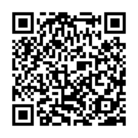 QR code for ZGX 218