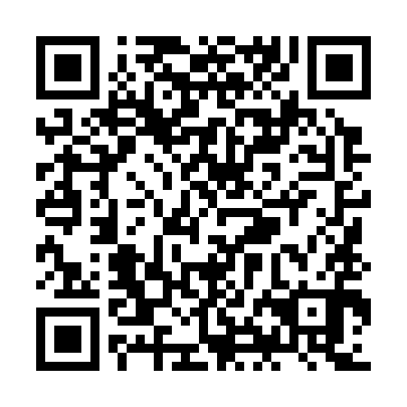 QR code for ZHL 390