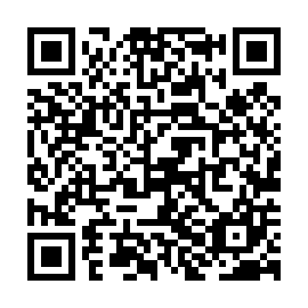 QR code for ZHL 407